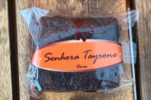 Senhora TAYRONE Março (10)
